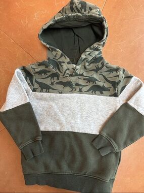 H&M Olive Green & Gray Dino Hoodie 2-4T